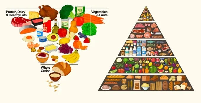 The New US Food Pyramid: Is It Actually New? 2 food pyramid